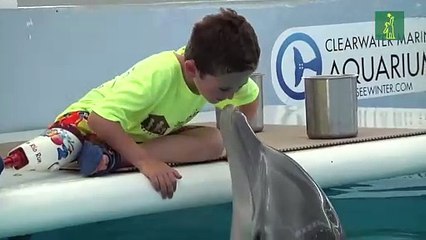 Homenaje a Winter, la delfín que inspiró "Dolphin Tale"