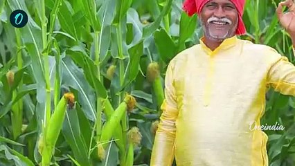 Kisan की PM Kisan Samman Nidhi Yojana की 19th Installment के 2 हजार रुपये अब आएंगे | Kisan Yojana