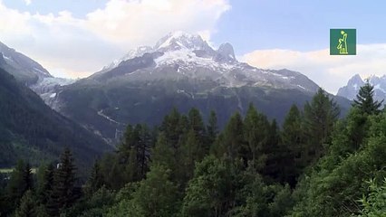 Informe de la ONU enciende alarmas al validar récord de calor en el Ártico