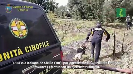 Hallan los restos de un hombre muerto hace décadas en una gruta en el Etna