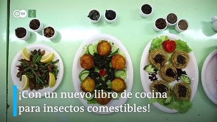 Insectos, ¿el ingrediente perfecto para la sostenibilidad y el menú navideño?