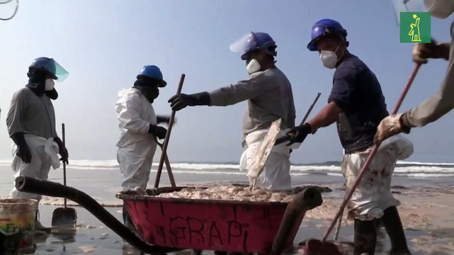 Playas contaminadas, animales muertos y las miradas contra Repsol en el derrame de Perú