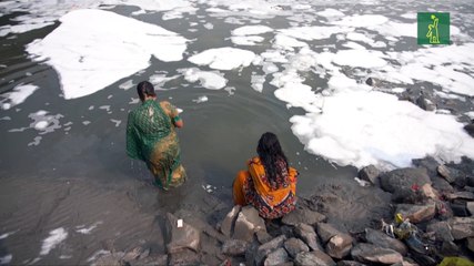 Espuma tóxica cubre el río sagrado Yamuna de la India