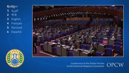 Organismo internacional sobre armas químicas pide más transparencia a Siria y Rusia