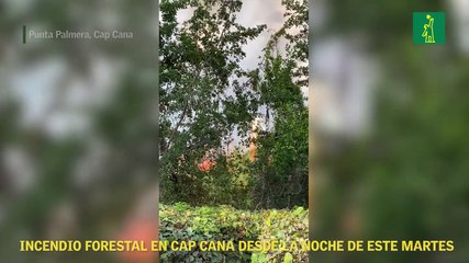 Incendio forestal en Cap Cana desde la noche de este martes