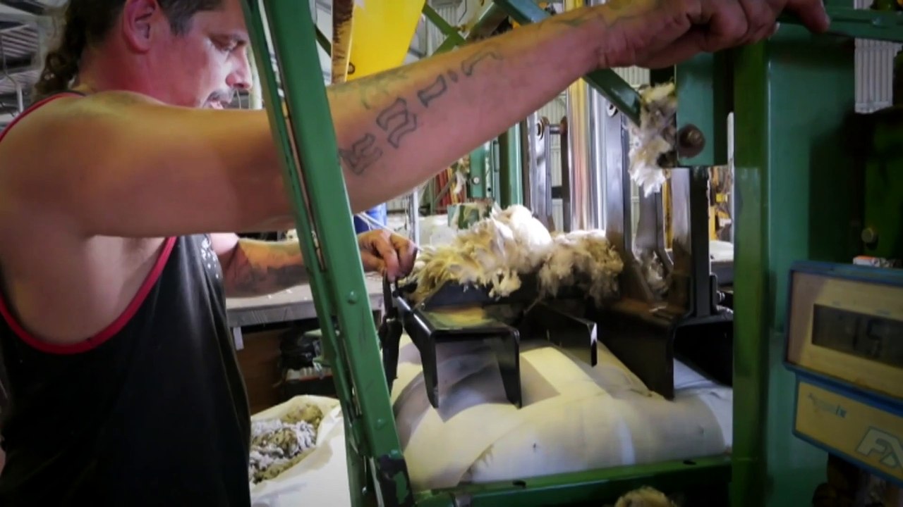 Farmers warn price of lamb will increase as flocks shrink