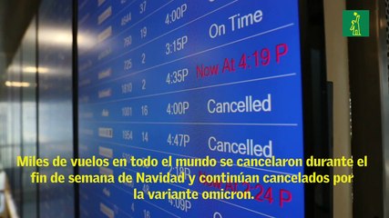 Omicron cancela vuelos Navideños en EE.UU.
