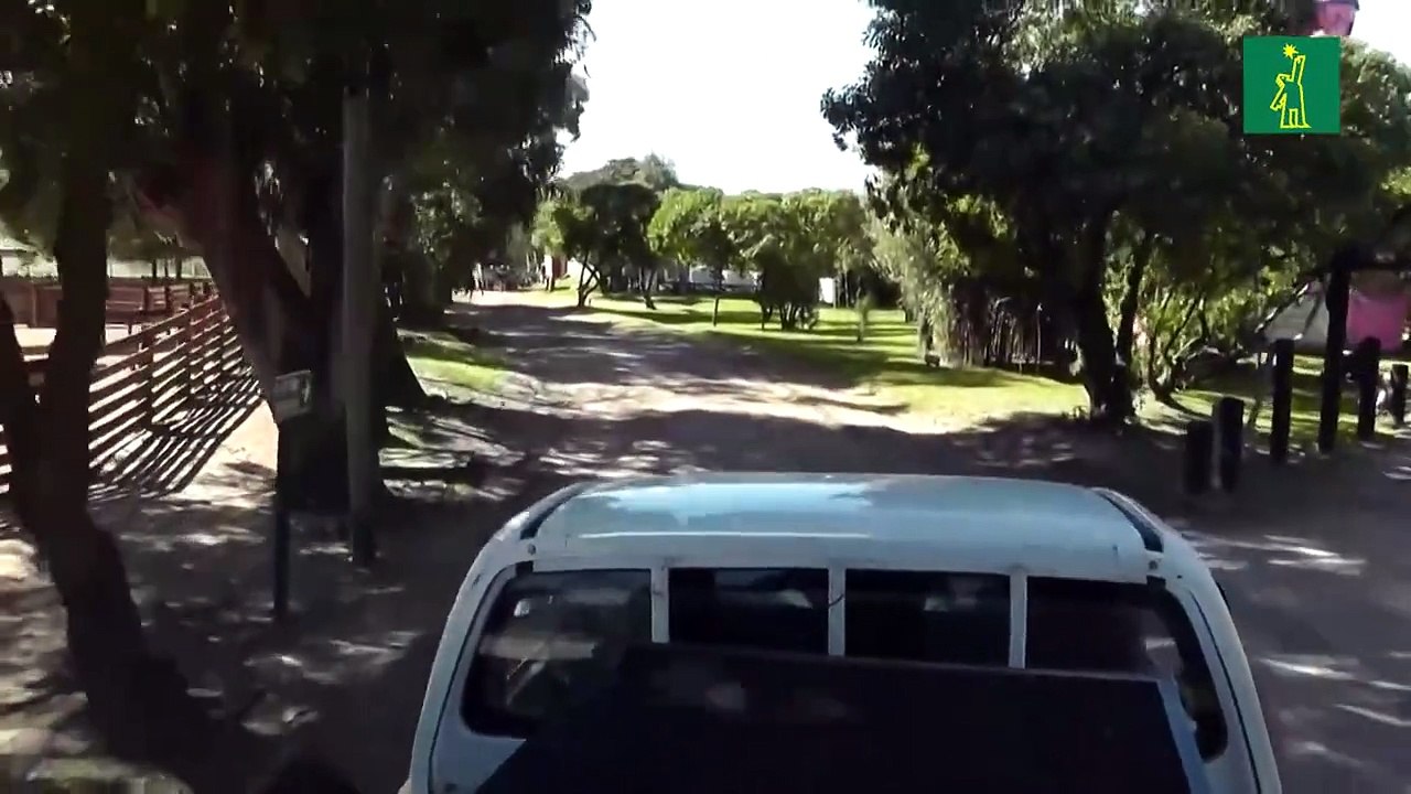 Animales de la costa bonaerense en peligro por los residuos plásticos