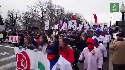 Marcha antiabortista celebra probable fin del derecho a abortar en medio EE.UU