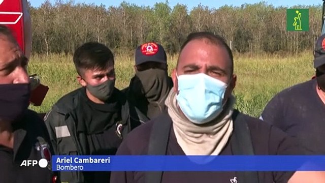 Bomberos combaten incendio forestal en provincia de Buenos Aires