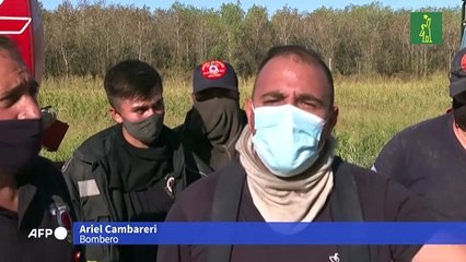 Bomberos combaten incendio forestal en provincia de Buenos Aires