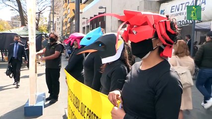Greenpeace México insta al Gobierno a adoptar una "postura fuerte" para proteger los oceános