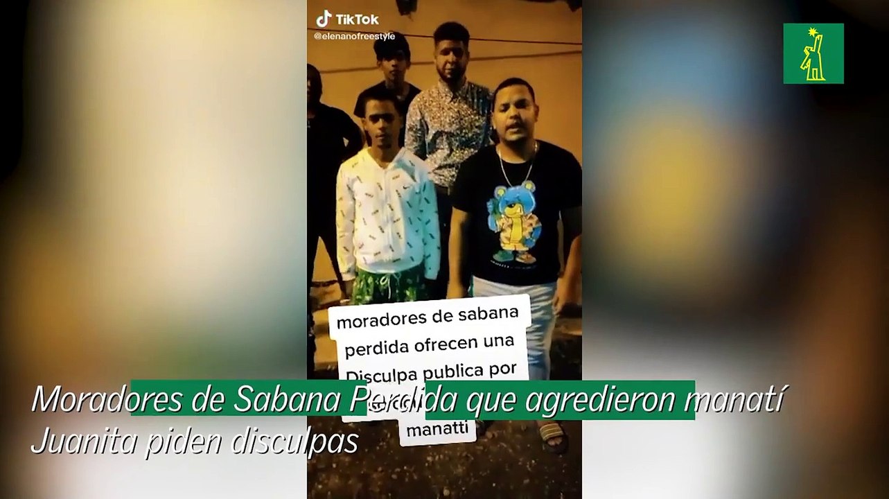 Moradores de Sabana Perdida que agredieron manatí Juanita piden disculpas