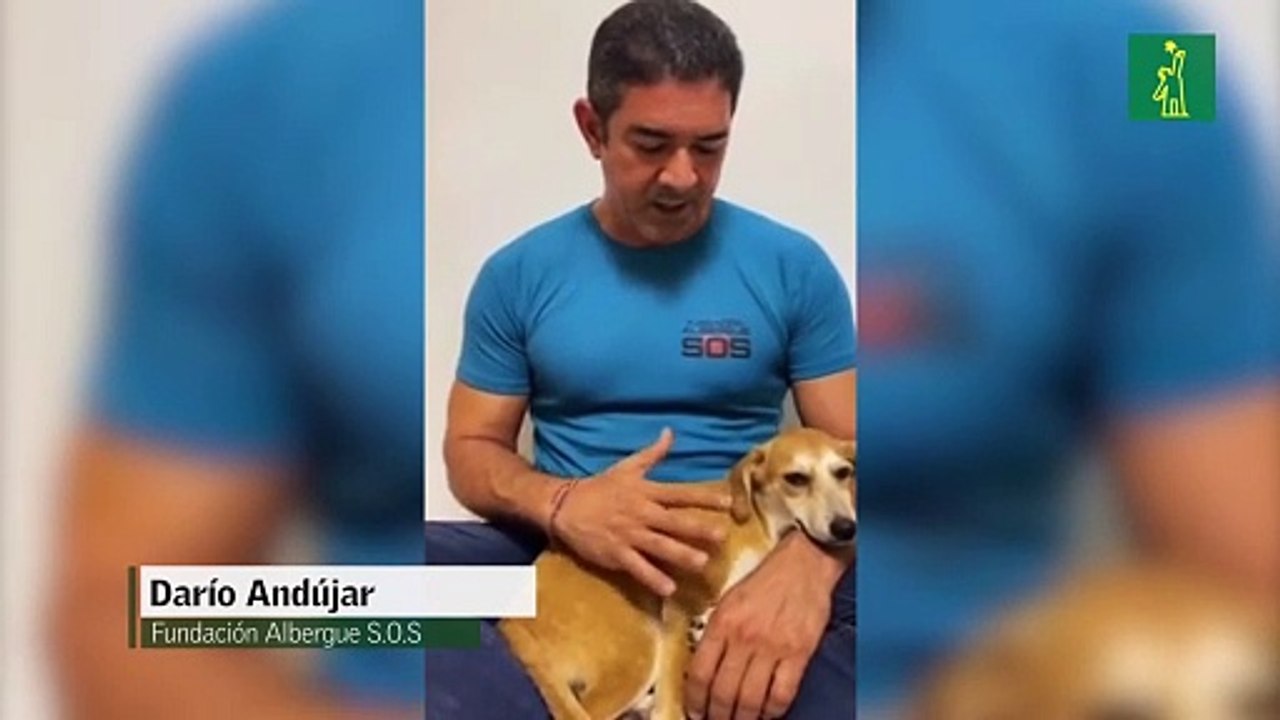 Fundación aclara Roberto Fulcar no fue quien puso nombre de las Mirabal a las perritas