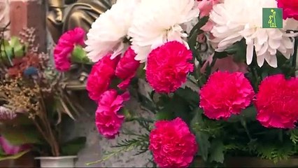 La COVID-19 causó la segunda mayor catástrofe de mortalidad por infección en España desde 1918