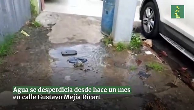 Agua se desperdicia desde hace un mes en calle Gustavo Mejía Ricart