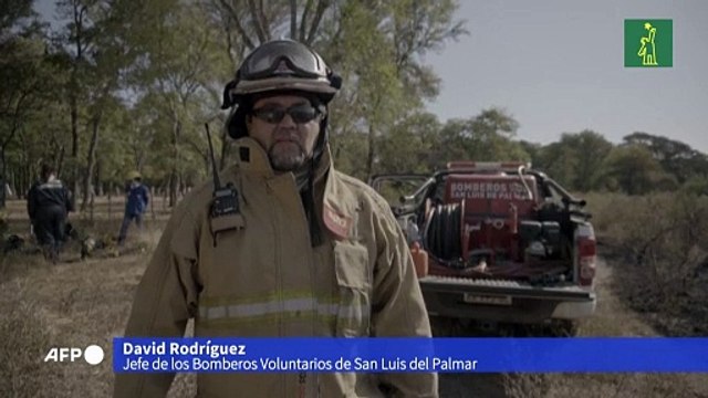 Brigadistas combaten incendios forestales en el norte de Argentina