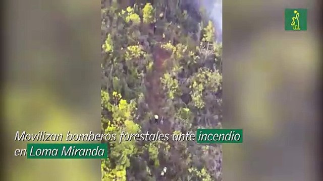 Movilizan bomberos forestales ante incendio en Loma Miranda
