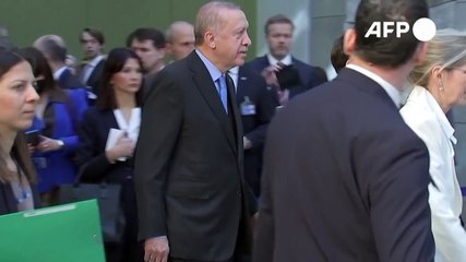 Cumbres occidentales en Bruselas tras un mes de guerra en Ucrania