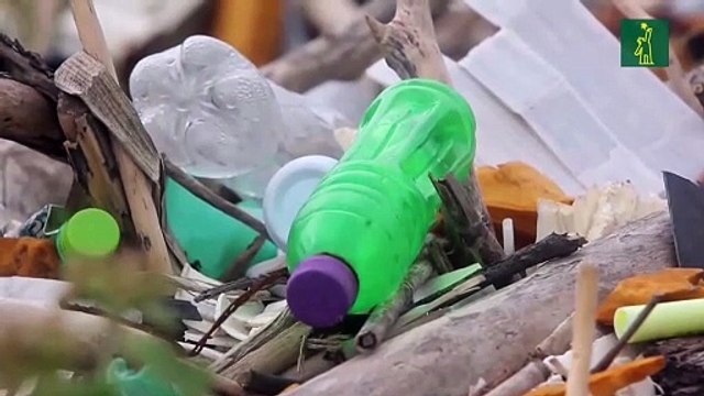 ¿Por qué urge un nuevo tratado internacional sobre contaminación por plásticos?