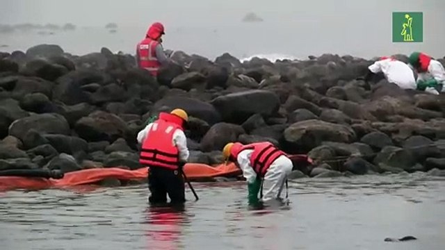Un mes de daños y demoras desde el derrame de petróleo en Perú