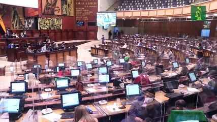 La Asamblea Nacional de Ecuador aprueba el aborto en casos de violación