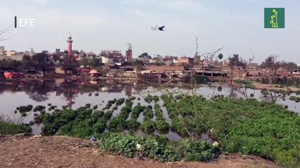 Pakistán construirá una ciudad alrededor del río "más contaminado" del mundo