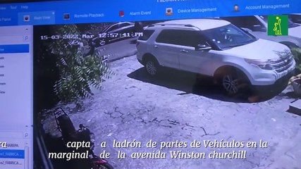 Cámara capta a ladrón de partes de Vehículos en la marginal de la avenida Winston Churchill