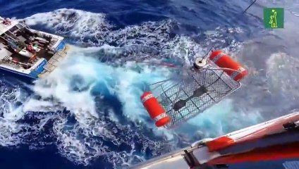 Guardacostas rescatan a hombre de 51 años que fue mordido por un tiburón en Miami