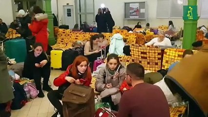 Ángeles conductores, los voluntarios que transportan a refugiados de Ucrania