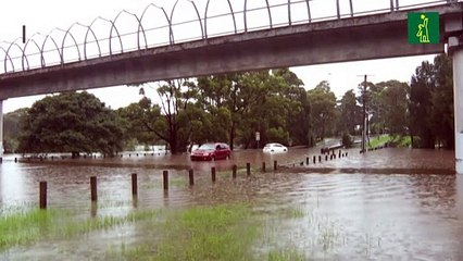Una veintena de muertos y miles de evacuados por inundaciones en Australia