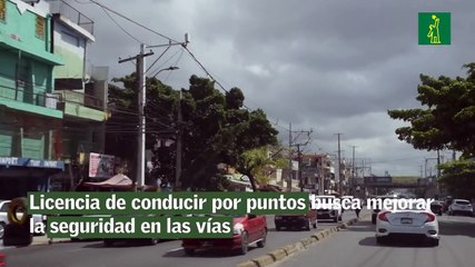 Licencia de conducir por puntos busca mejorar la seguridad en las vías