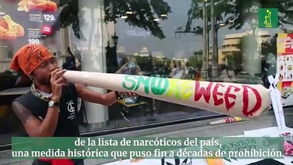 Tailandia celebra el Día Mundial del Cannabis