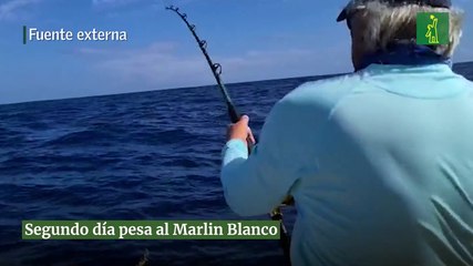 Segundo día pesca al Marlin Blanco