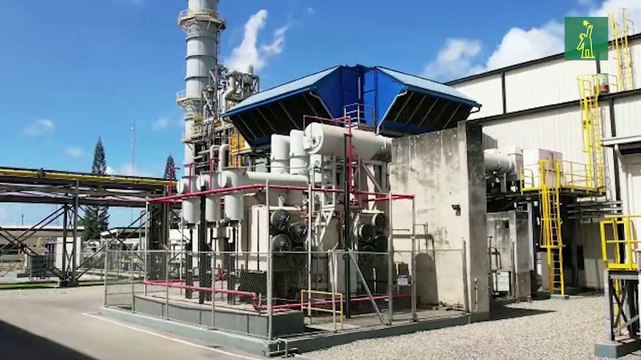 Geólogo Osiris de León exhorta impulsar conversión de plantas eléctricas a Gas Natural por ser energía más limpia y barata