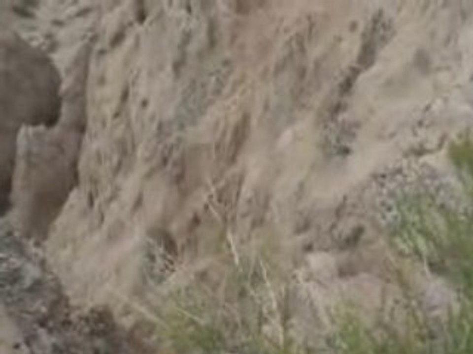 quebrada de las flechas-Argentine 11