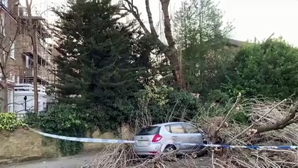 El vendaval de la tormenta Eunice deja dos muertos y paraliza el Reino Unido