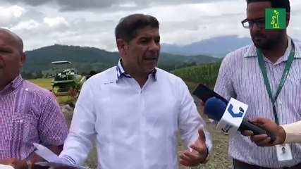 Aún no ha sido erradicada la peste porcina en República Dominicana