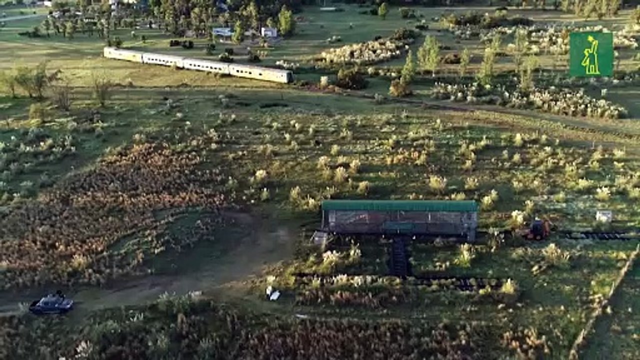 ONG libera en Sudáfrica a cuatro tigres de Bengala que vivieron recluidos quince años