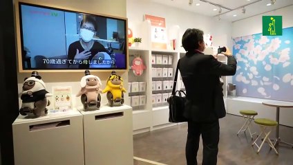 Abren en Japón un espacio de reunión para propietarios de robots de compañía