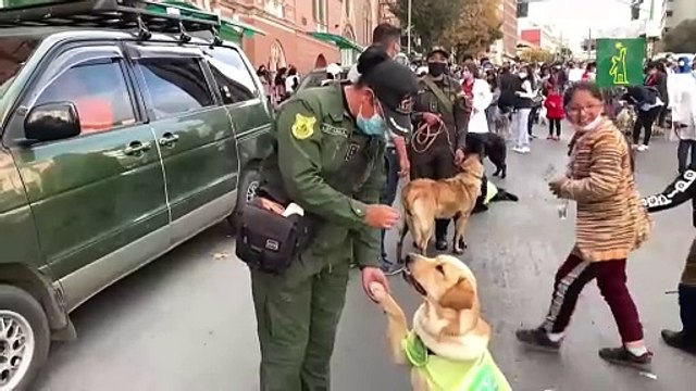 Bolivia alza la voz contra el maltrato animal con una marcha de perros y humanos