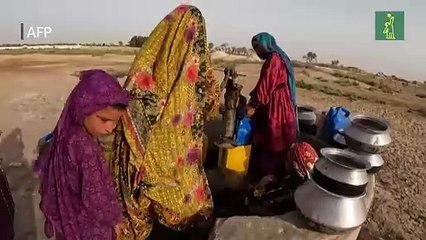 Los efectos del cambio climático se sienten desde India hasta Brasil