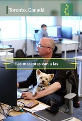 QUE COSAS! - Las mascotas van a las oficinas