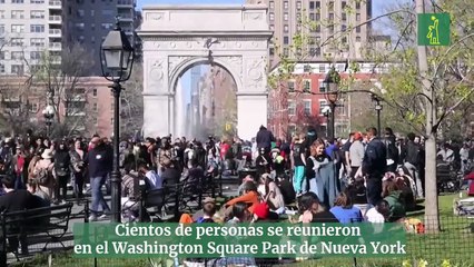 Celebraron en Nueva York el 4/20, el Día Internacional de la Marihuana