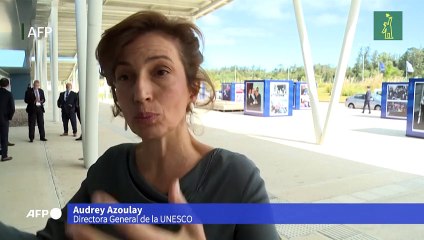 "Hay que exigir más transparencia a las plataformas digitales", dice jefa de Unesco