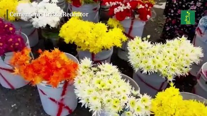 "Cementerios en condiciones para el Día de las Madres"