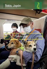 QUE COSAS! - Perros sentados en vagón de tren