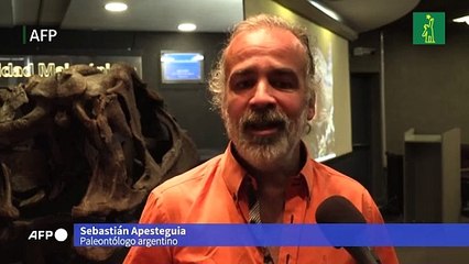 Descubren en Argentina nueva especie de dinosaurio de enorme cabeza y pequeños brazos