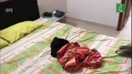 Abaten en operación policial a "Matamba", un narcotraficante prófugo de la justicia