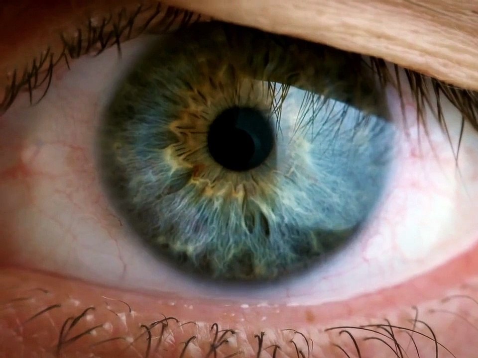 Banco BHD refresca su imagen en su 50 aniversario